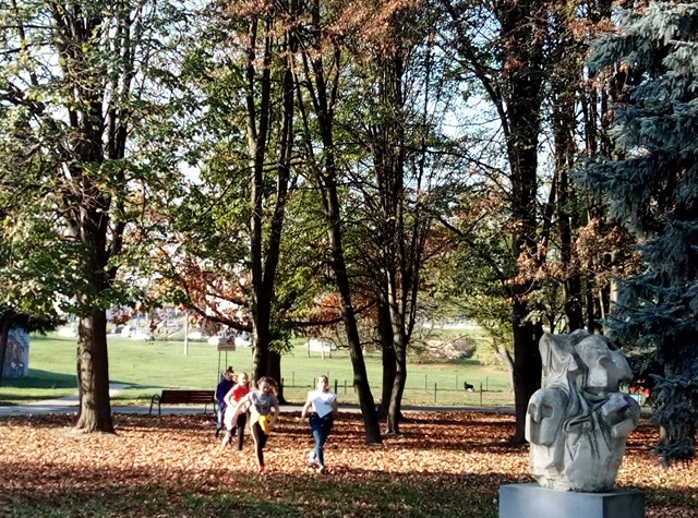 Miniatura